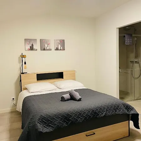 Appartement La Loge De St Yrieix Sur Charente Saint-Yrieix-sur-Charente
